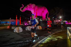 BIB: 
                            <button type="button" onclick="openModal(26552099)" class="btn btn-primary btn-sm float-right btn-popup" data-toggle="modal" data-target=".modal-high-quality">
                        <i class="fas fa-shopping-cart"></i> Add to Cart
                    </button>
                                            <button type="button" onclick="isThisMe(26552099, true)" class="btn btn-success btn-sm float-right btn-popup btn-isme hidden" data-toggle="tooltip" data-placement="bottom" title="นี่คือรูปของคุณใช่ไหม คลิกที่นี่เพื่อเอาเข้าอัลบั้ม">
                        <i class="fas fa-plus"></i> Add to album
                    </button>
                    <button type="button" onclick="isThisMe(26552099, false)" class="btn btn-warning btn-sm float-right btn-popup btn-isnotme hidden">
                        <i class="fas fa-ban"></i> Remove from album
                    </button>